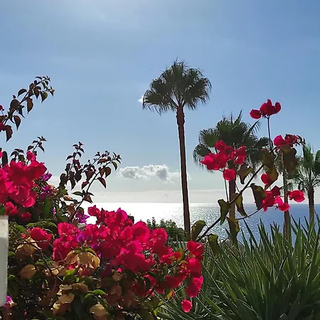 Lägenhet In Playa Paraiso Tenerife *