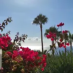 公寓 In Playa Paraiso Tenerife *