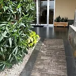 In Playa Paraiso Tenerife