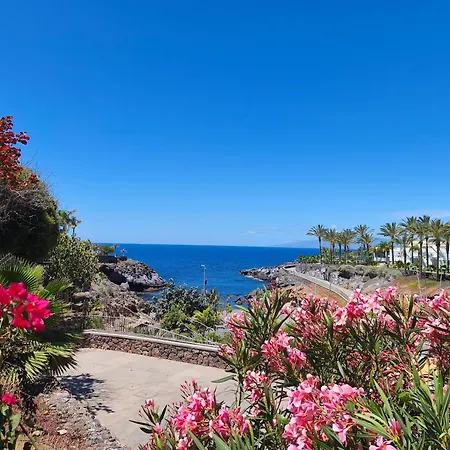 Apartamento In Playa Paraiso Tenerife Costa Adeje (Tenerife)