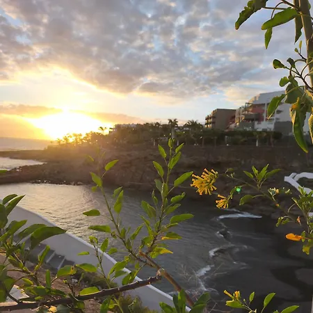 In Playa Paraiso Tenerife