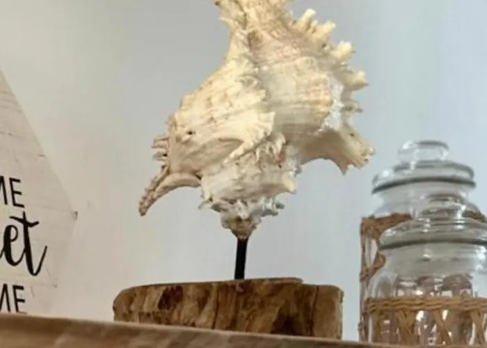 In Playa Paraiso Tenerife